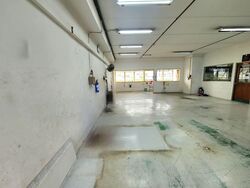 Ubiplex 1 (D14), Factory #557606391